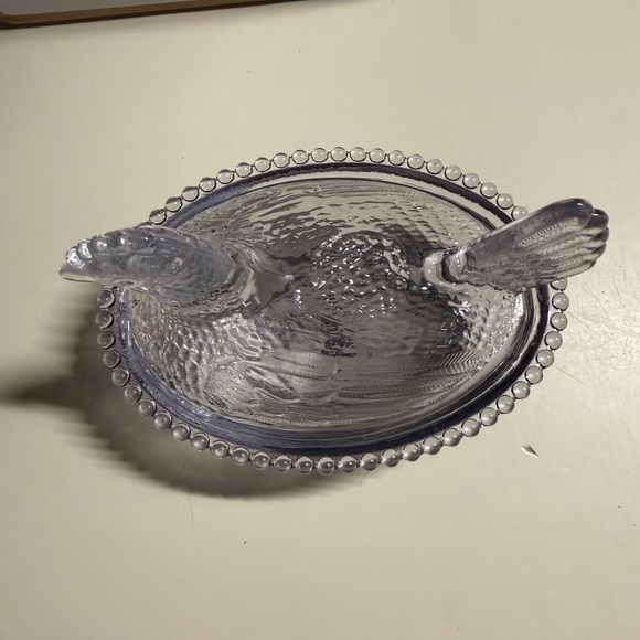 Rose’s Closet Smoke (gray) hen on nest with original box *Callouts* - Picture 4 of 13